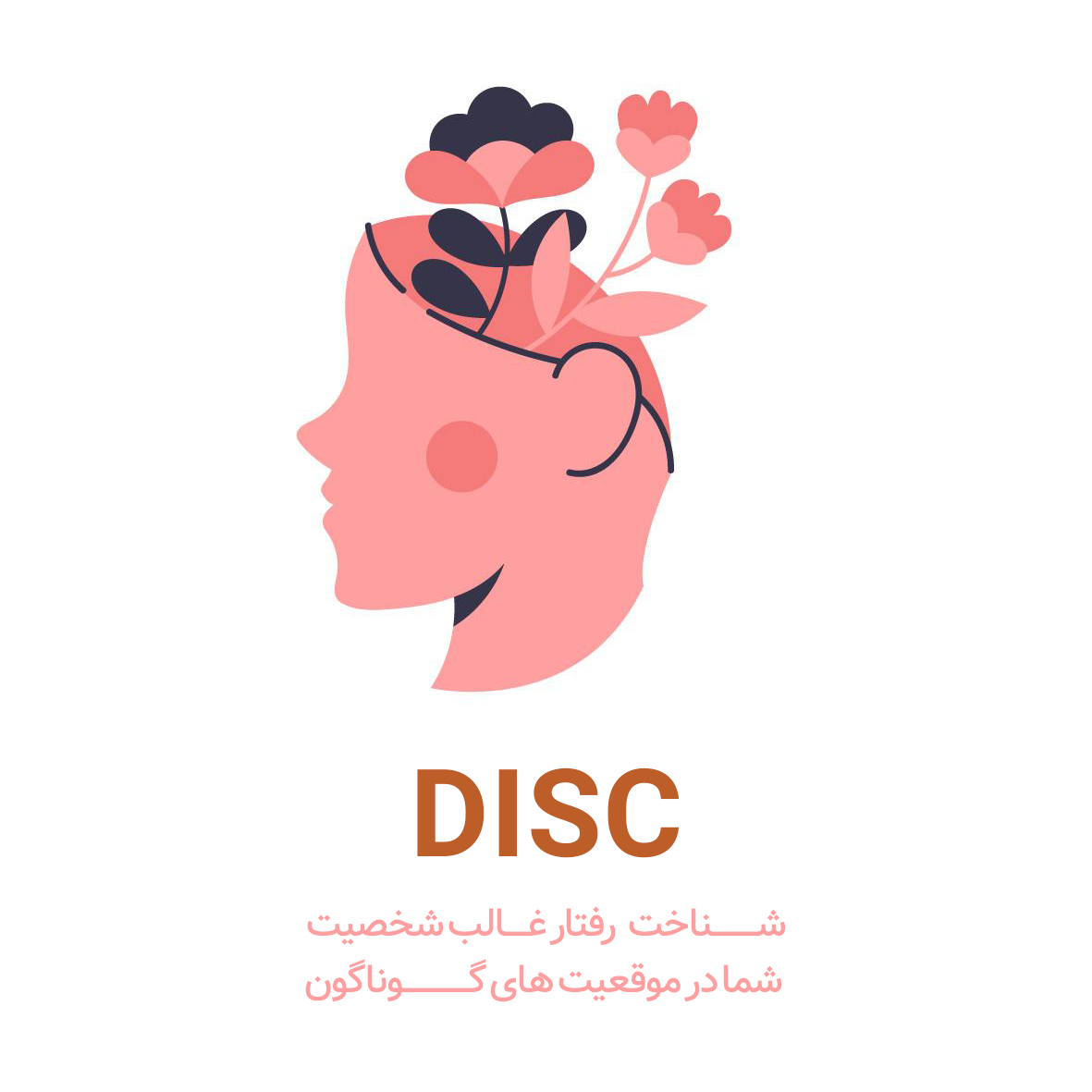 آزمون DISC